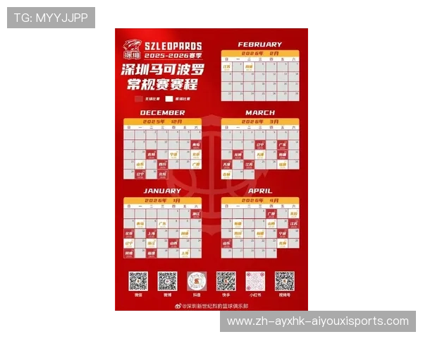 深圳队CBA球员名单与战术配置详解