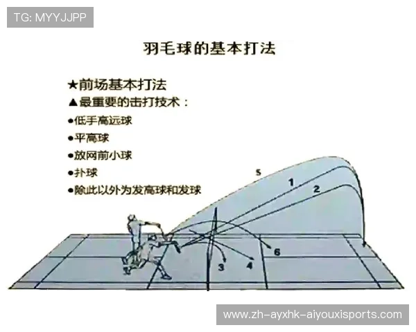 羽毛球标准比赛规则解析与技巧提升全方位指南