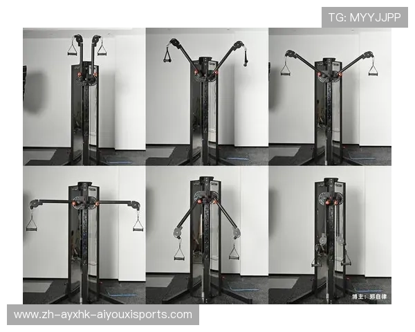 网上健身器材商城哪家好？主流平台评测与选购建议